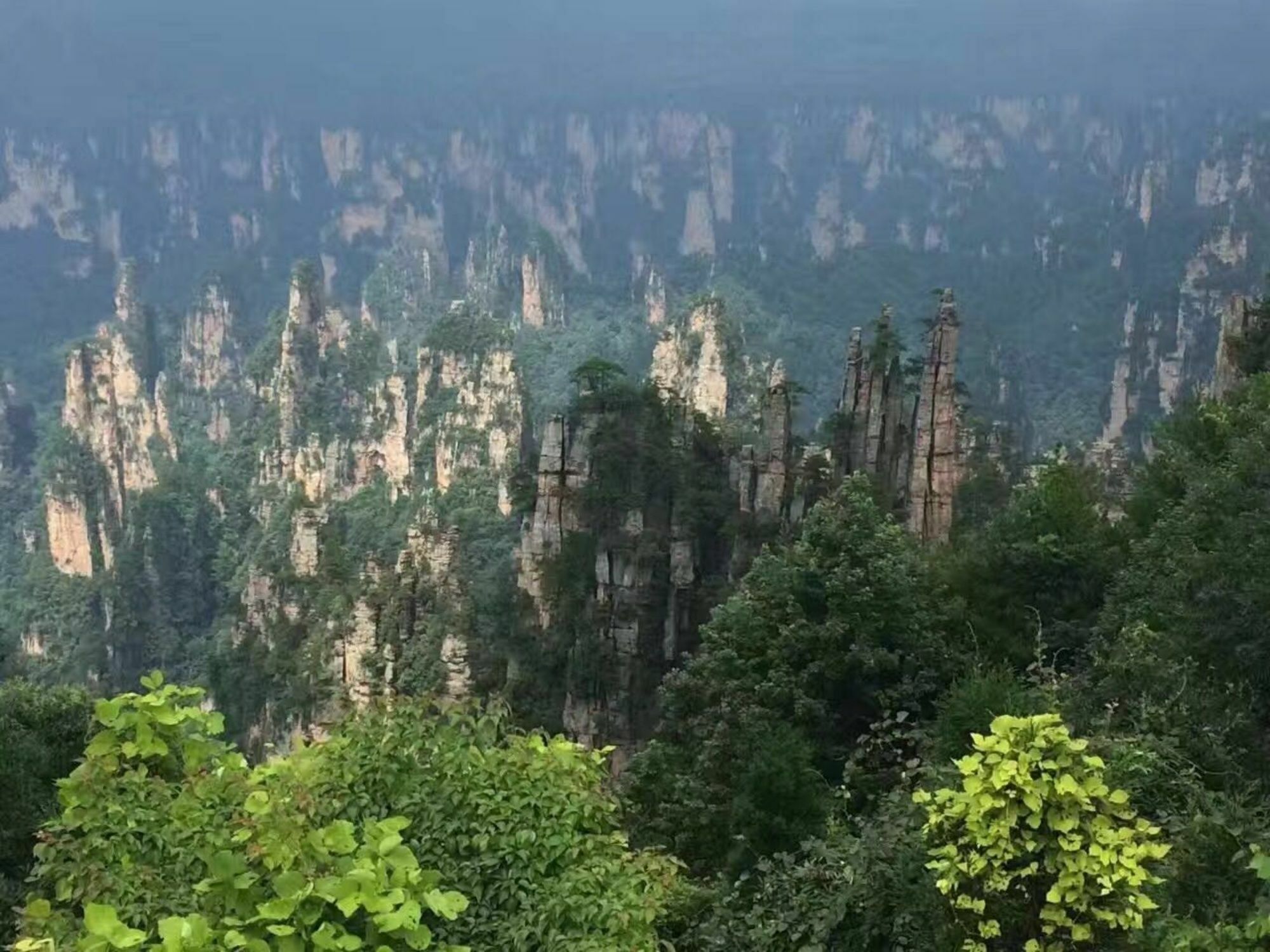 Zhangjiajie Yueranju Hostel Экстерьер фото